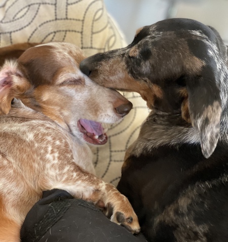 Penny & Sanford