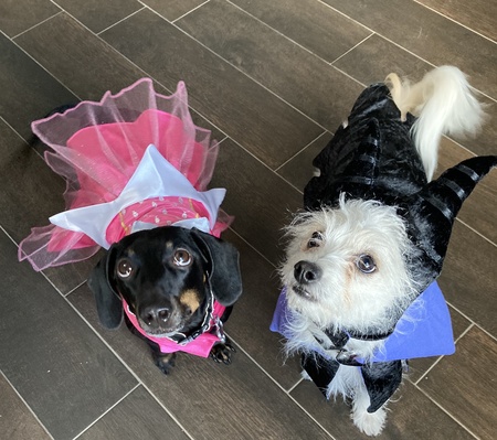 Tamago and Tamari