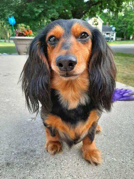 Ezzie 