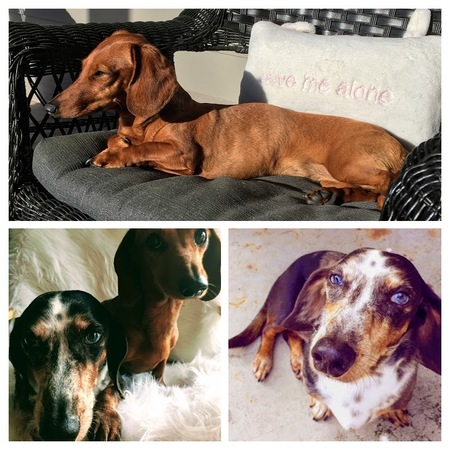 Phoebe and Roscoe