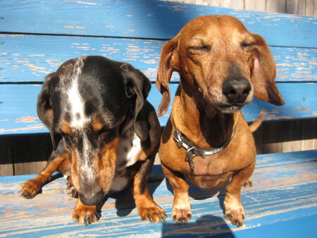 Roscoe and Bostwick