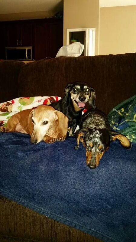 Snoopy, Peanut, Angel
