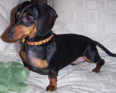 Roscoe