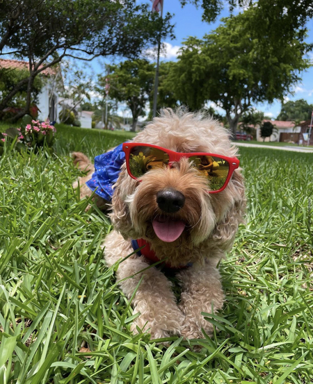 Bella