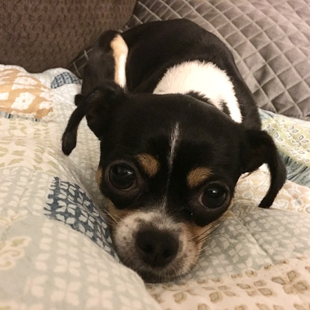 Zoey