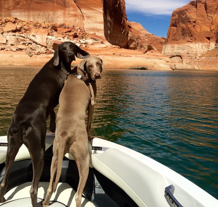 Wally and MOOSE