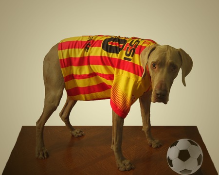 Bailey
