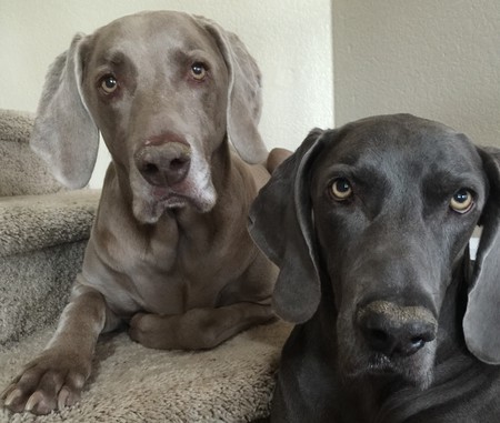 Izzy and Kane 