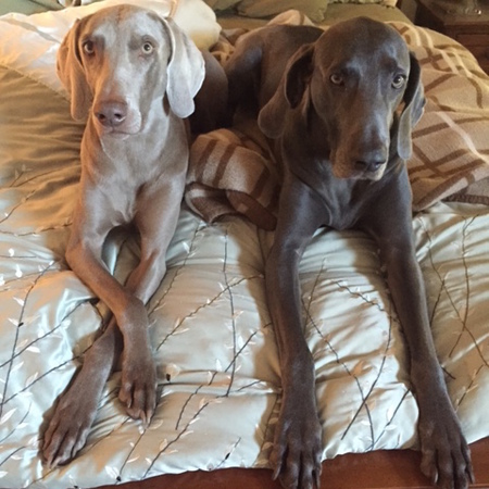 Phia and Louie