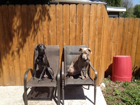 Wrigley and Foster Rainer