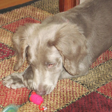 Lilly