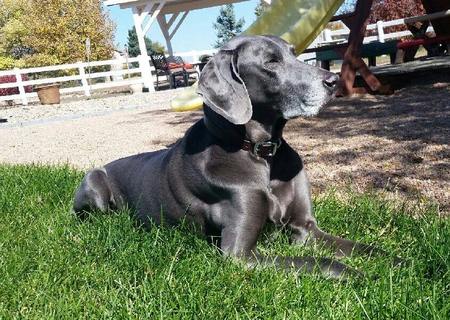 Harley.. 98 yrs old lovin life