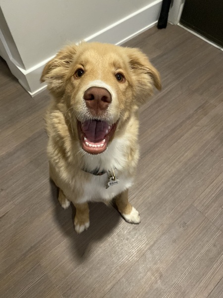 Butters