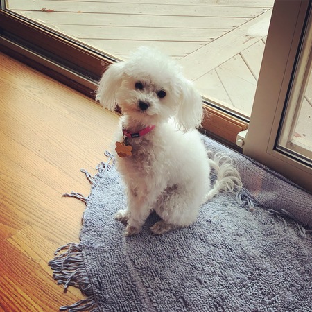 Lola 