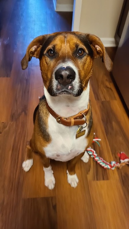 Rigby