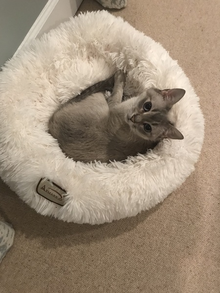 Winnie