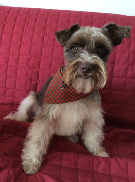 Bailey