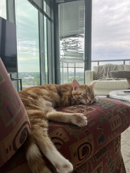 Nala