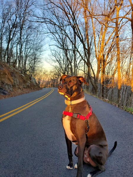 Charlie