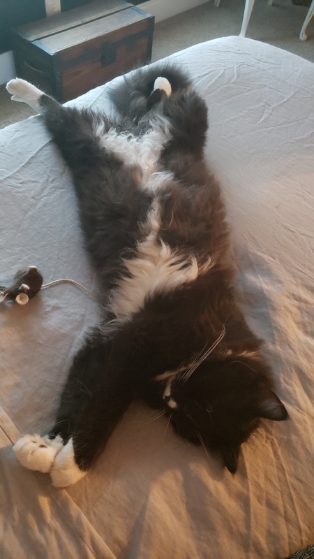 Tucker McTuckingston, III