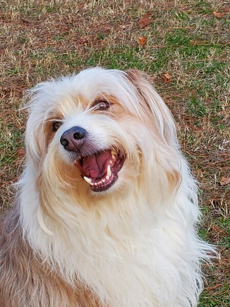 Copper