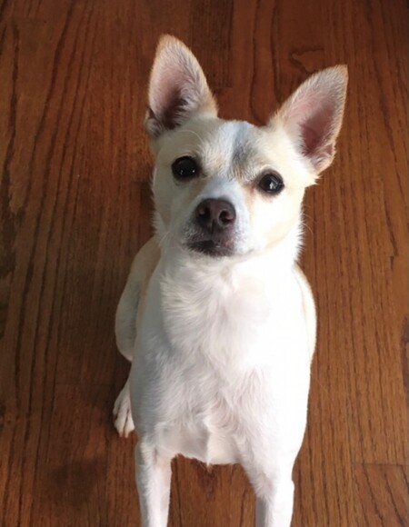 Milo