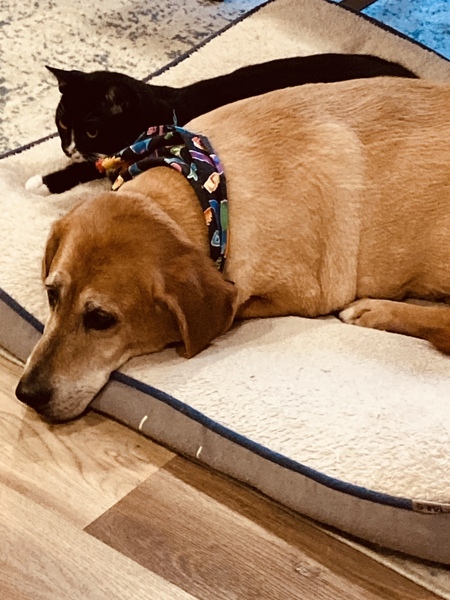 Conner and Boo