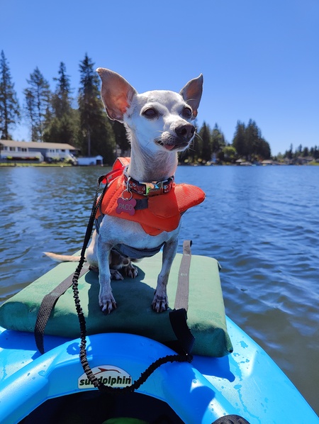 Paco