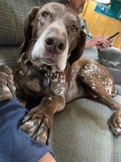 Grizz