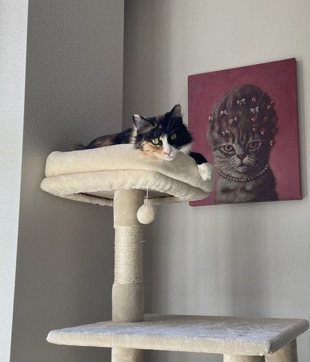 Pippa