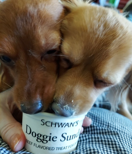 Olly and Penny 