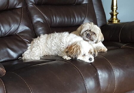 Emmy and Bella