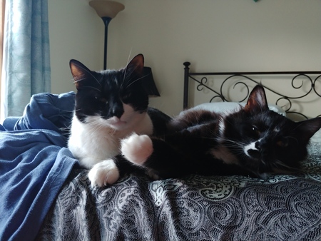 Reggie and Archie