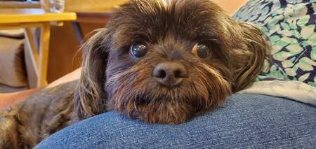 Baxter