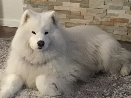 Cosmo