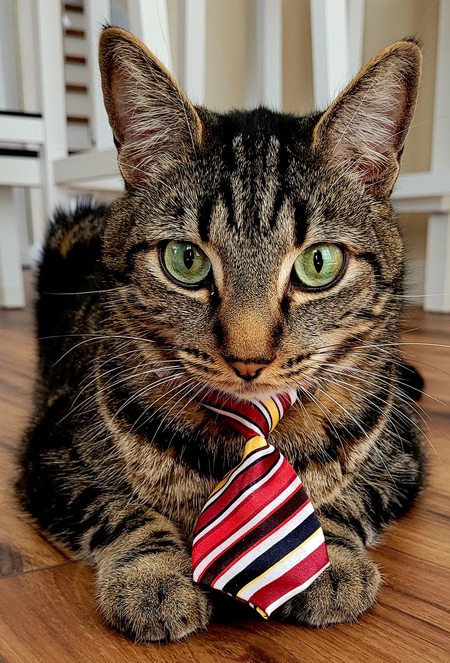 Benny