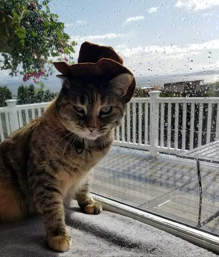 Coco