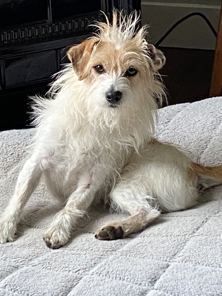 Milo