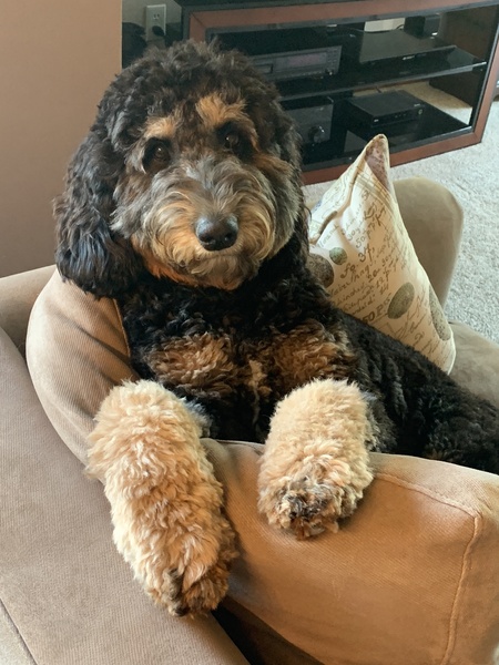 Bailey 