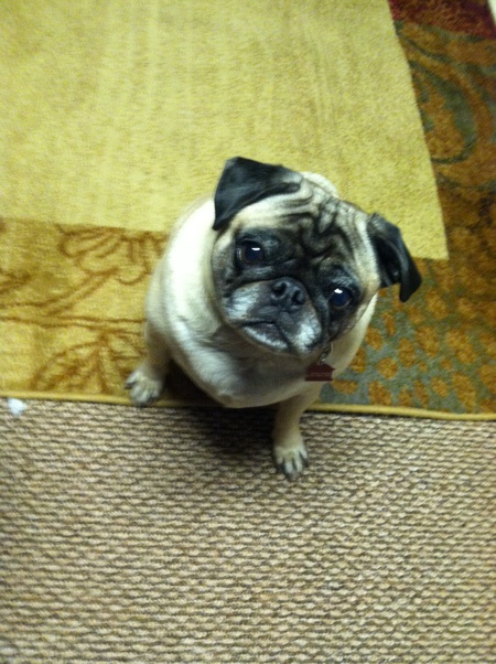 Otis
