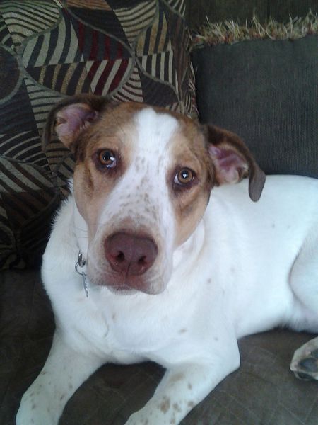 Lenny 