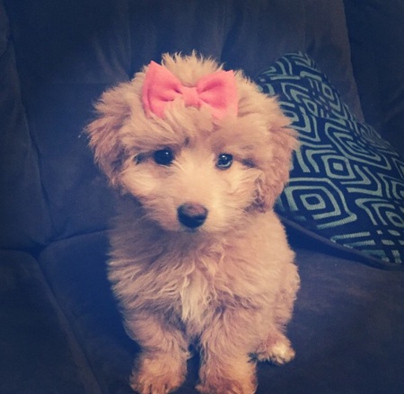 Lucy