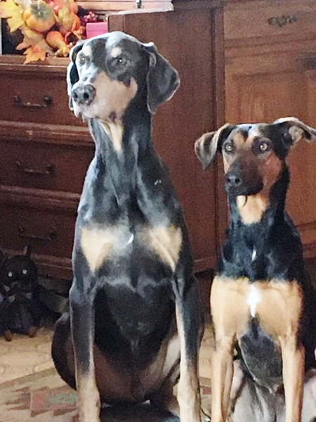 Charlie and Ceili