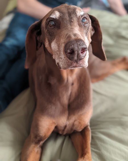 Wally