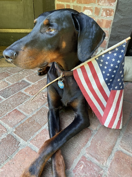 Zeus