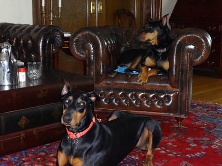 Major and Kenja