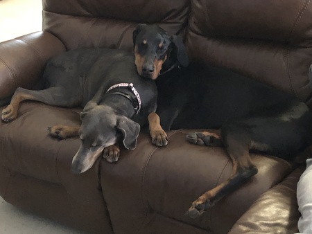 Max and Farrah