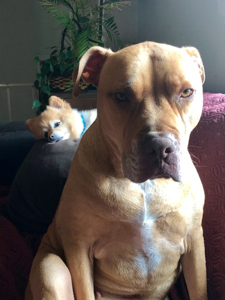 Zeus and BamBam
