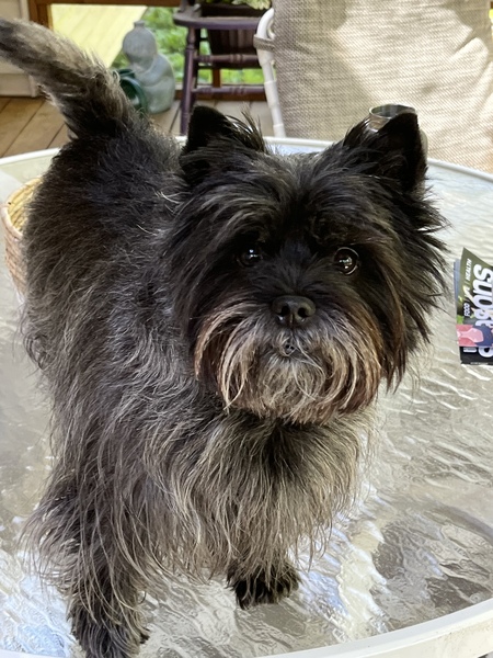 Etta Mae 