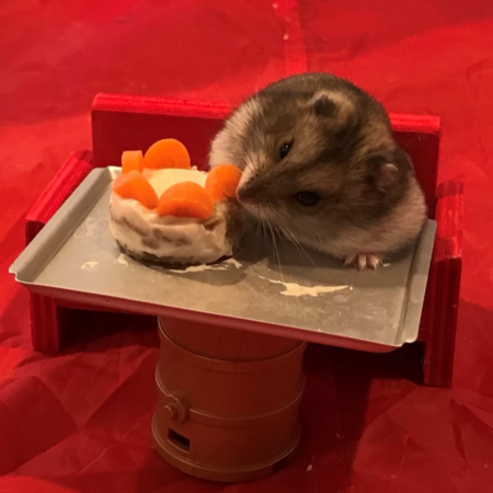 Hammy